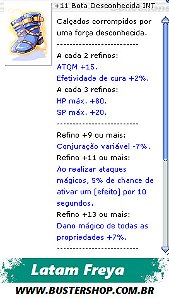 +11 Bota Desconhecida INT [1]