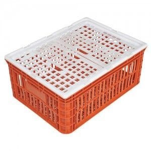 Caixas para Frango Vivo