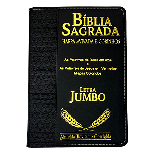 Biblia Sagrada Harpa Letra Jumbo Indice Luxo Preta