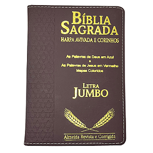 Biblia Sagrada Harpa Letra Jumbo Indice Luxo Vinho