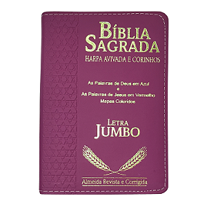 Biblia Sagrada Harpa Letra Jumbo Indice Luxo Pink