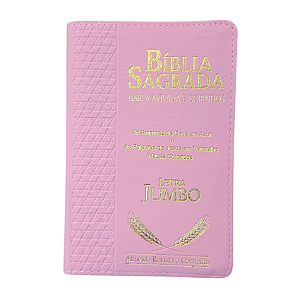 Biblia Sagrada Harpa Letra Jumbo Indice Luxo Rosa