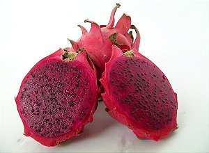 20 Mudas De Pitaya Da Nicaragua Vermelha exotica e muito saborosa