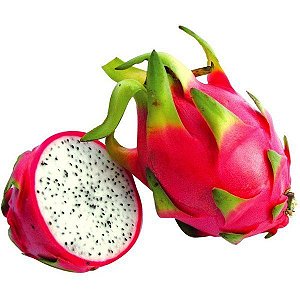 Muda De Pitaya Branca saborosa  (Clonada) logo produz