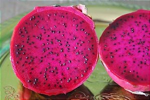 Muda De Pitaya Da Nicarágua (''Produzindo'') clonada depende da epoca