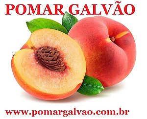 Muda Enxertada De Pessego alguns ja produzindo, depende da epoca