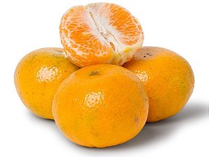 Muda Mexirica Murcote Enxertada