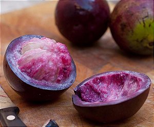 Mudas De Abiu Roxo Caimito raro e muito saboroso