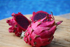 Mudas Enraizadas De Pitaya Da Nicarágua - Vermelha