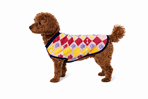 Roupa Pet em Soft M (Medidas na Descrição do Anúncio)