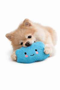 Brinquedo de Pelúcia Para Pet (Com Apito) - Nuvem