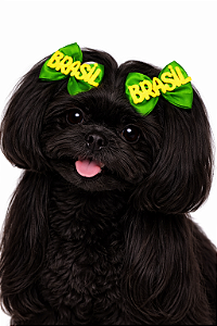 Kit com 2 Laços Pet - Seleção Brasileira - Copa 2026