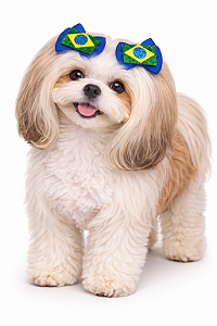 Kit com 2 Laços Pet - Seleção Brasileira - Copa 2026