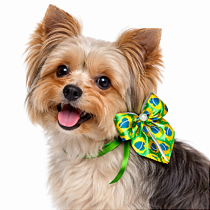 Laço ajustável para Pet - Seleção Brasileira - Copa do Mundo