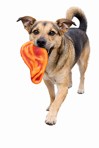 Brinquedo para Pet (Com Apito)