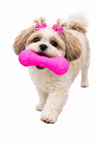 Brinquedo para Pet (Com Apito)