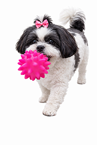 Brinquedo para Pet (Com Apito)