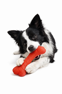 Brinquedo para Pet (Com Apito)