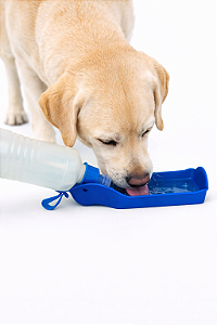 Garrafinha Portátil para Passeio - 500ml