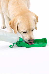 Garrafinha Portátil para Passeio - 500ml