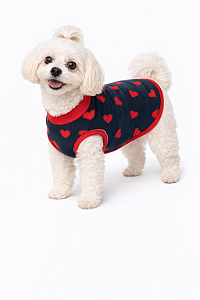 Roupa Pet em Soft G (Medidas na Descrição do Anúncio)