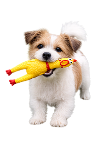 Brinquedo Galinha Pequena (Com Apito)