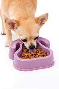 Comedouro/Bebedouro para Cachorros 150ml