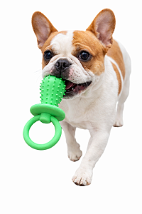 Brinquedo para Pet (Com Apito)