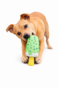 Brinquedo para Pet (Com Apito)