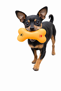 Brinquedo para Pet Pequeno (Com Apito)