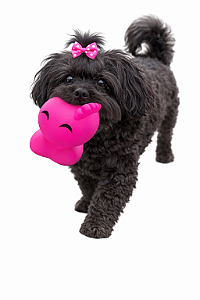 Brinquedo para Pet (Com Apito)