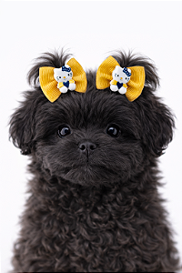 2 Laços Para Penteado Pet