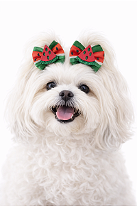 2 Laços Para Penteado Pet