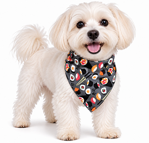 Bandana Para Pet Ajustável