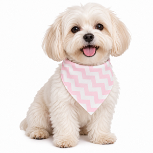 Bandana Para Pet Ajustável