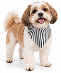Bandana Para Pet Ajustável