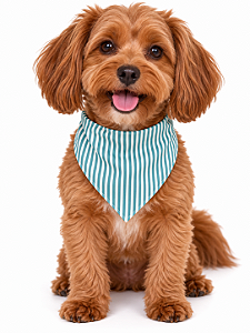Bandana Para Pet Ajustável