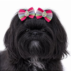 2 Laços Para Penteado Pet