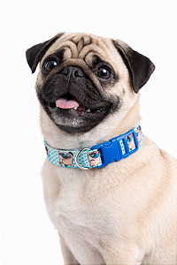 Coleira para Pet Ajustável (Para Cães de Pequeno e Médio Porte)