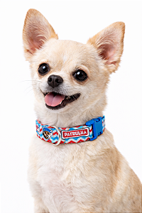 Coleira para Pet Ajustável (Para Cães de Pequeno e Médio Porte)