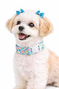 Coleira para Pet Ajustável (Para Cães de Pequeno e Médio Porte)