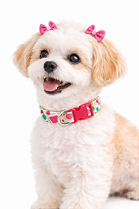 Coleira para Pet Ajustável (Para Cães de Pequeno e Médio Porte)