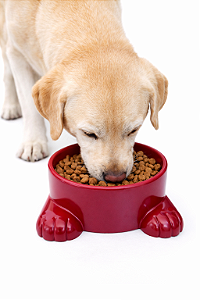 Comedouro/Bebedouro Patinhas 1400ml