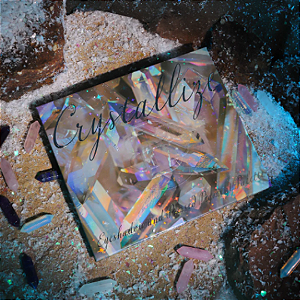 Paleta da Sombras bellabeautébar LLC Crystallize Magnetic Palette | PRÉ VENDA