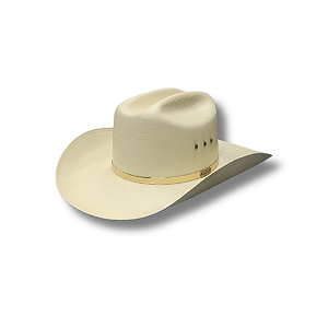 Chapéu Mundial c/ arco dourado