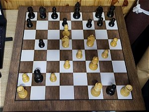 Livro Xadrez Para Leigos: Ideal para iniciantes de qualquer idade! Super  didático [Sob encomenda: Envio em 15 dias] - A lojinha de xadrez que virou  mania nacional!