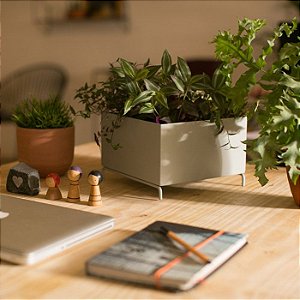 Cachepot para Plantas - Mesa