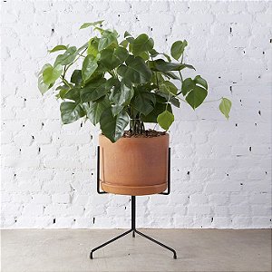 Suporte para planta N°4