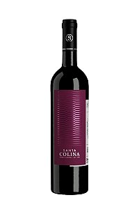 Vinho Tinto Aliança Santa Colina Pinot Noir