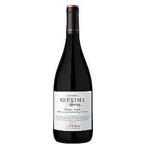 Vinho Tinto Septima Obra Res Pinot Noir